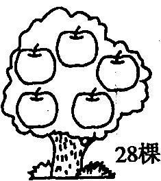 (1)梨树比苹果树[ ]a.多一些b.多得多(2)苹果树比桃树