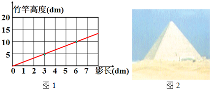 在某一时刻,妮妮测得竹竿的高度与影子的长度如图1:(1