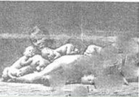 阅读下面文字,把文中拼音所表示的汉字和加点