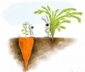 仔细审看下面《谁的幸福指数高?》这幅漫画,选