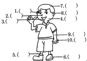 看图,用英文写出身体各部位的名称。1. _2._3.