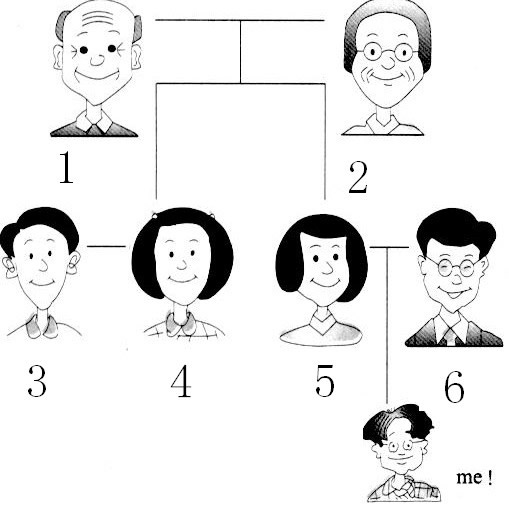 看图,读单词并将单词写在相应位置。 father mo