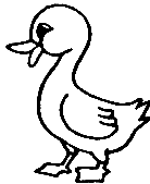 b. cat() 3. c. rabbit() 4. d. duck() 5. e. horse