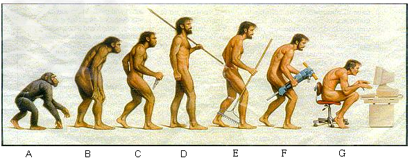 下图表示人类的进化过程,请据图回答下列问题