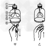 下图所示是人体呼吸运动模拟实验的操作过程,