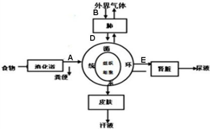 如图为人体新陈代谢的部分过程示意图请回答下列问题:(1)A代表营养物质的______过程，通过此过程可使人体内的 - 上学吧找答案