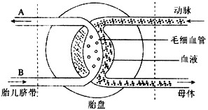 其中胎儿增加4千克,母体贮存营养增加2