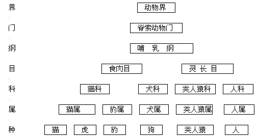 现有a,b,c,d四种动物,它们的分类情况是:a和b同"目"不