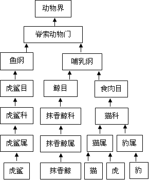 动物分类书籍_动物分类有哪几大类_按文献的发布分类 信息的类型有