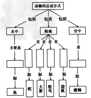 下图是动物运动方式的概念图,请根据要求完成