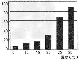 红尘一骑妃子笑,无人知是荔枝来。新鲜荔枝是