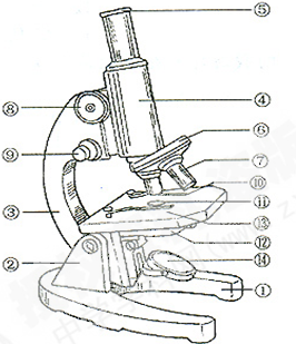 (1)填写图中下列各序号所代表显微镜各部分的结构名称.