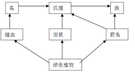 在一个草原生态系统中,存在着下图所示的食物关系,请据图回答:⑴该食物网中共有食物链_______条。⑵生产者是