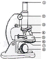 右图是普通光学显微镜结构图,请据图回答问题