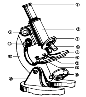 下图是显微镜结构图,据图回答(14分)1)写出下列结构的