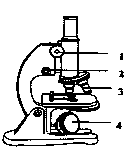 下图为显微镜结构示意图,请根据图回答有关问