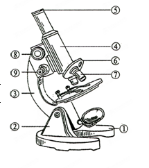 右下图是显微镜结构图，根据此图回答:(1)写出图中下列数字对应的显微镜构件名称:①②③④⑤⑥⑦⑧(2)在你使用显微镜 - 上学吧找答案