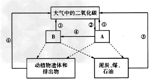 下图为生态系统碳循环示意图,请据图回答下列问题.