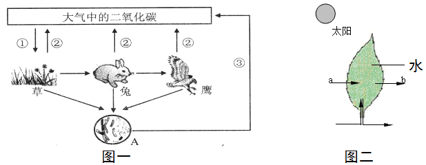 图一是生态系统各组成成分之间关系的示意图,图二是图一中草的叶片结构示意图。请据图回答相关问题。(1)从生态 - 上学吧找答案