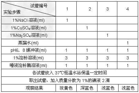 为探究NaCl和CuSO4对唾液淀粉酶活性的影响
