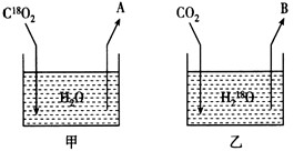 山西省交通科学研究院赵队家_美国科学家鲁宾和卡门_美国科学家鲁宾和卡门