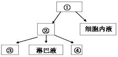 体液细胞外液组织液血液 b.体液细胞外液血浆组织液 c.