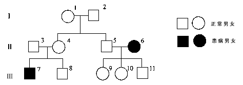 下图为某家族白化病的遗传系谱图,该病的致病基因位于常染色体上(等位