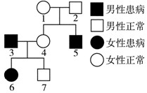 下图是某家族红绿色盲的遗传系谱图,正确的分析是[ ]a
