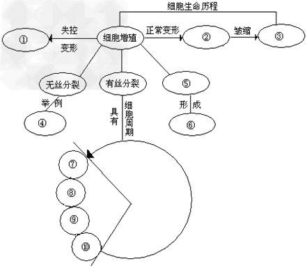 细胞的生命历程包括生长、增殖、分化、衰老等。(1)试按图中标号填写有关内容:②________;③_________;④________;⑤ - 上学吧找答案