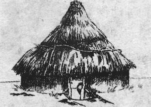 下列所示房屋被称为[ ]A.干栏式B.半地穴式C.阁