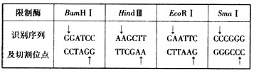 在线客服  下表中列出了几种限制酶识别序列及其切割位点