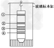 如图是纸层析法分离叶绿体中色素的装置图,层析后得到不同的色素带,在暗室内用红光照射四条色素带,可以看到 - 上学吧找答案