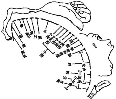 下图是人大脑皮层躯体运动代表区功能示意图,