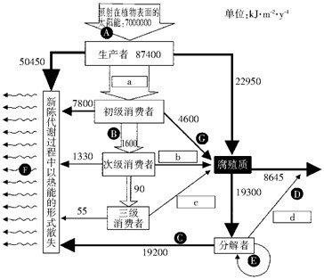 下图表示某稳定生态系统中能量流动情况,A~G表示具体的能量流动过程,a~d表示相关能量数据。请据图分析回答:(1 - 上学吧找答案