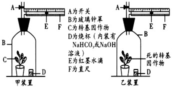 某转基因作物光合作用很强。某中学生物兴趣小