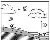 读“水循环示意图”,完成问题。小题1:图中代号所对应的水循环环节正确的是( )A.①--降水B.②--蒸发C.③--水汽输 - 上学吧找答案