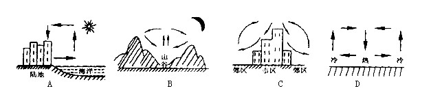 下图几种大气运动形式中,气流运动方向表示正确的是