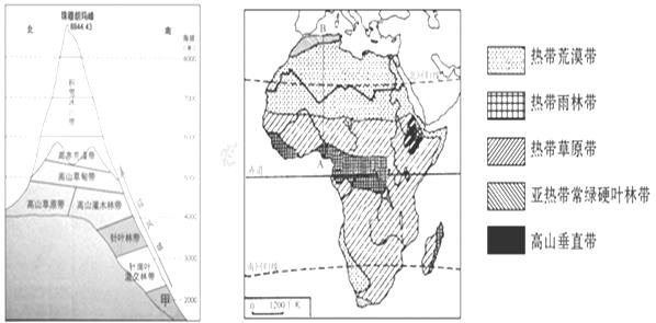 读"珠穆朗玛峰地区垂直自然带示意图"和"非洲自然带分布图",回答问题.