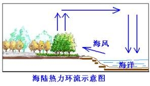 海陆间热力环流形成的海风,从海洋上带来丰富的水汽在