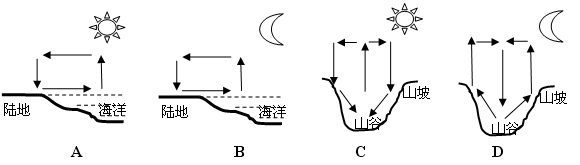 下列几种热力环流情况画法正确的是