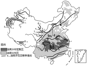 下图为中国油菜分布及开花日期等值线分布图.读图回答1—4题.