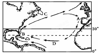 分)(1)在A、B、C、D四支洋流中,属于风海流的