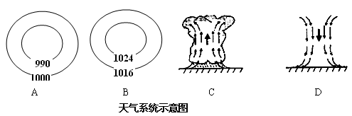 图中,能正确表示台风气压或气流状况的天气系统是()