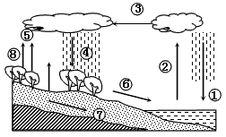 读“水循环”示意图依次回答问题。(1)写出水循环的环节: ②____________;③____________;④____________;⑥_______ - 上学吧找答案