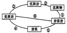 读地壳物质循环示意图(下图),回答1—2题. 1,图中表示