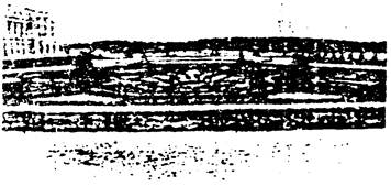 中国耕地面积红线_中国的人均耕地面积(2)