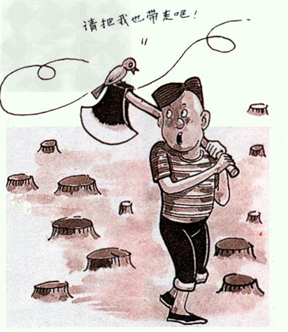 给你钱，请不要砍伐森林
