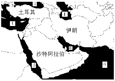 认真读中东地图,填上相应的数字号。海峡:土耳