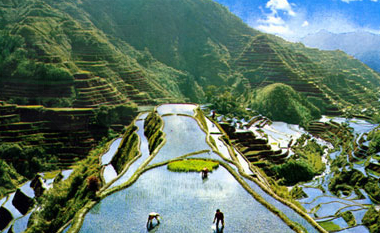 “一方水土养一方人”,不同的地形、气候条件下,人们的生产方式截然不同。下图为我国某地区农业生产景观图。根据