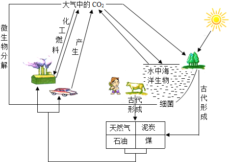 下面为自然界中碳循环示意图.(1)海洋能够吸收二氧化碳,其原因之一是二氧化碳可以跟水反应,请写出该反应的化